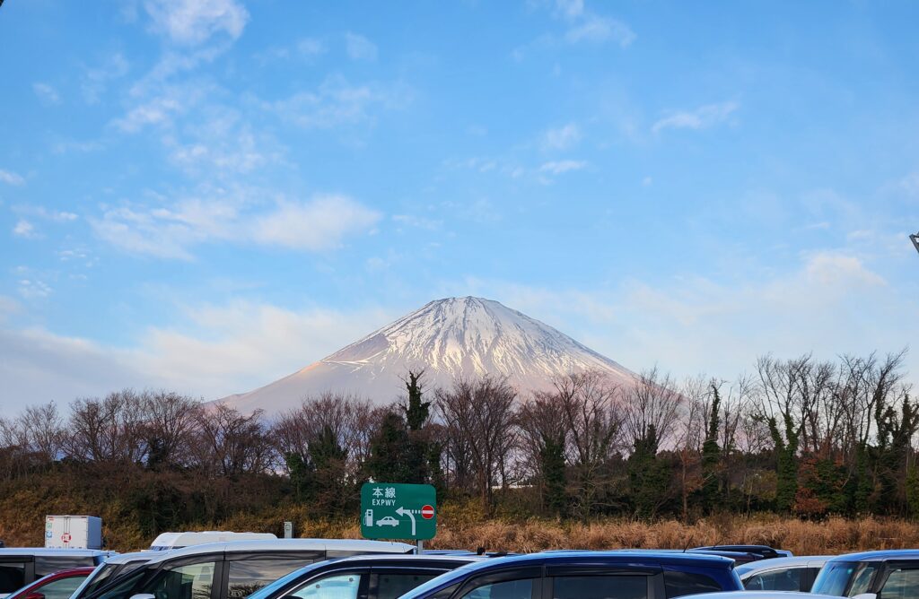 成長が盛り沢山